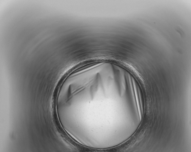 X0000115140439200911101711