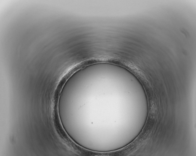 X0000115140440200911101711