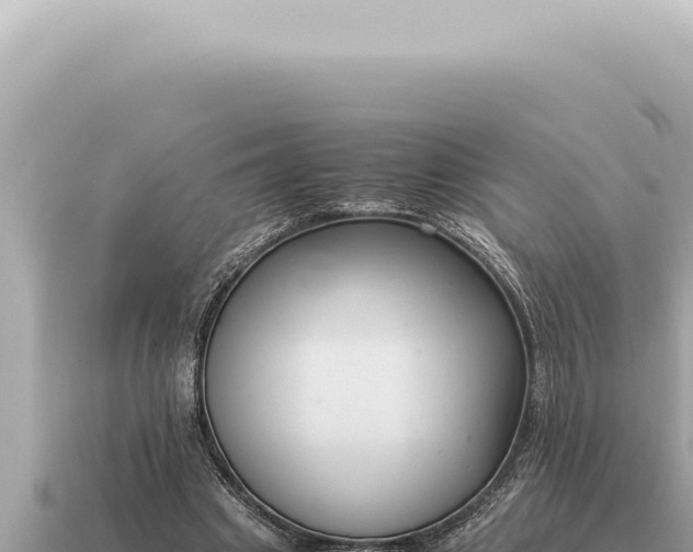 X0000115140441200911101711