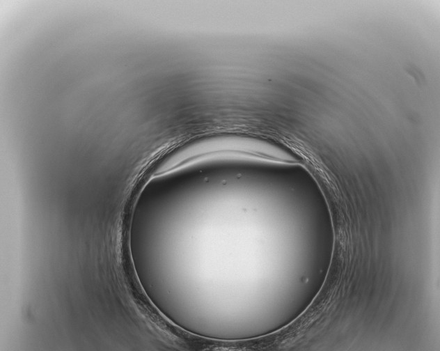 X0000115140442200911101711