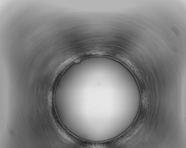 X0000115140445200911101711