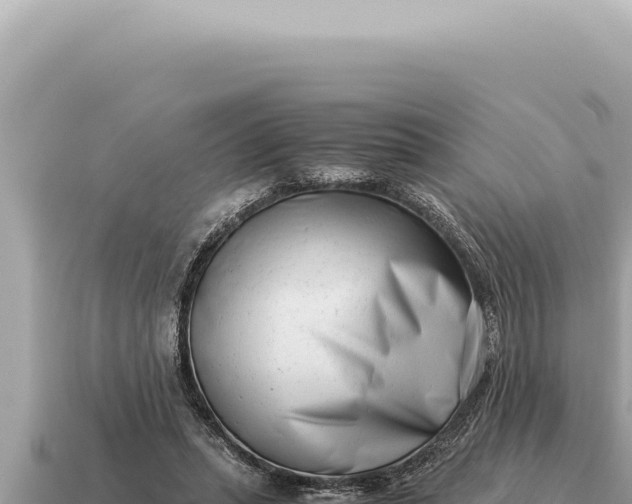 X0000115140447200911101711