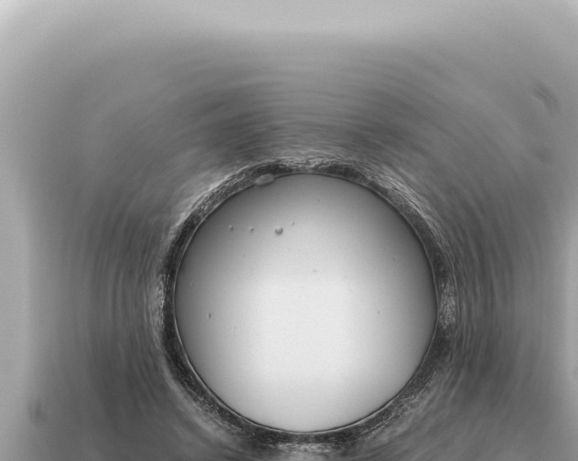 X0000115140448200911101711