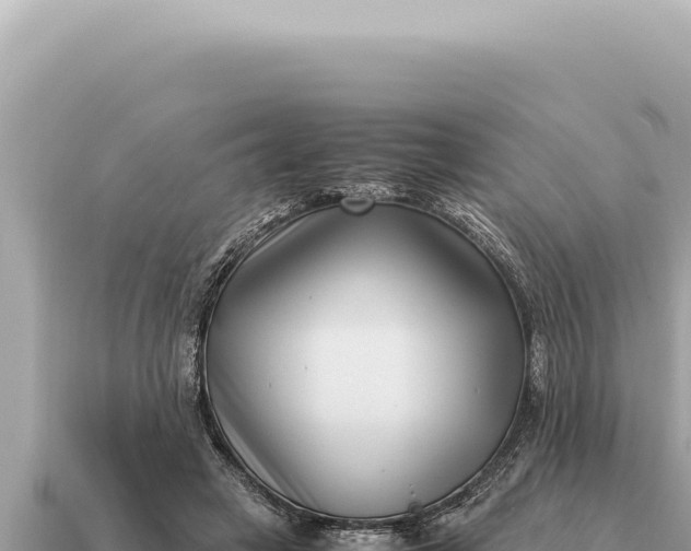 X0000115140449200911101711