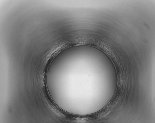 X0000115140450200911101711