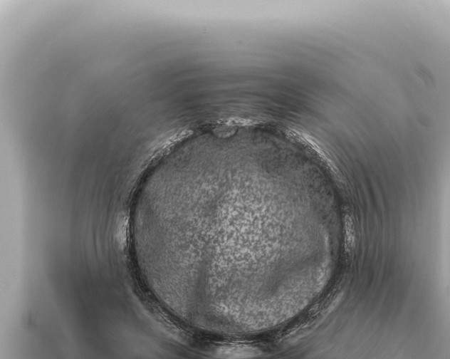 X0000115140451200911101711