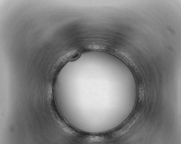 X0000115140453200911101711