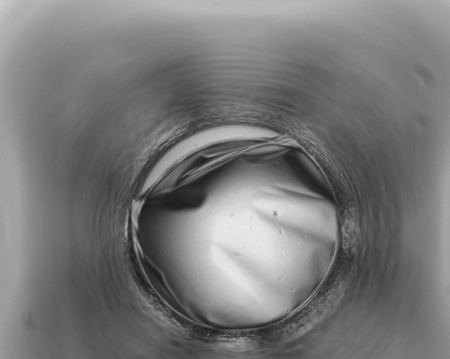 X0000115140454200911101711