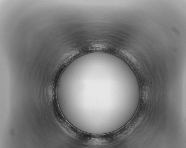 X0000115140455200911101711