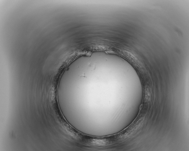 X0000115140457200911101711