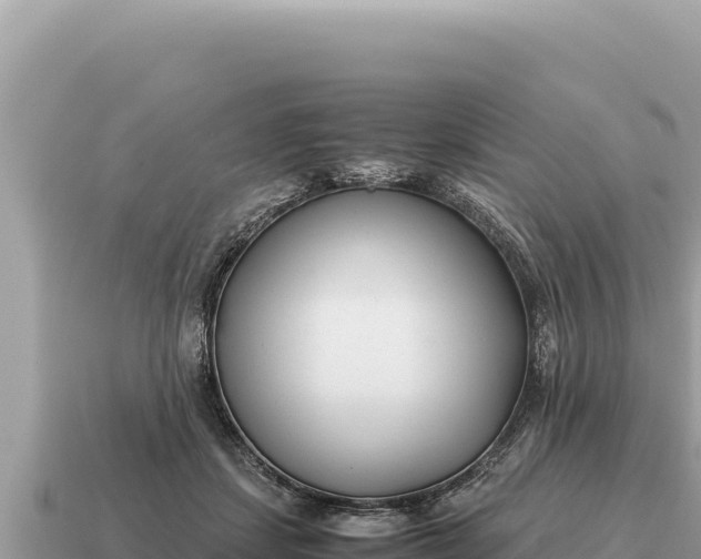 X0000115140459200911101711
