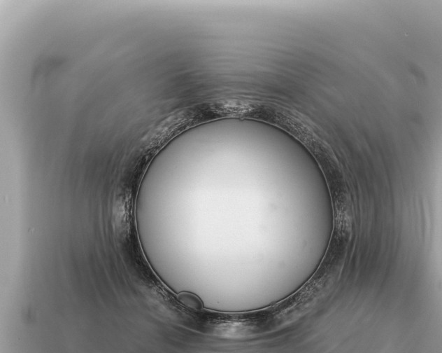 X0000115140460200911101711