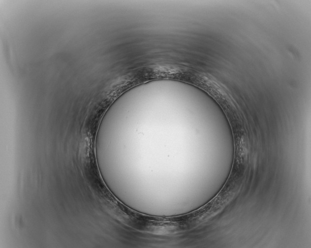 X0000115140463200911101711