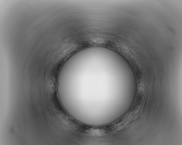 X0000115140464200911101711