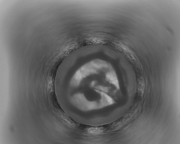 X0000115140465200911101711