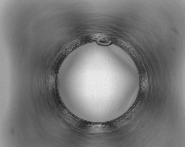 X0000115140473200911101711