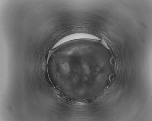 X0000115140475200911101711
