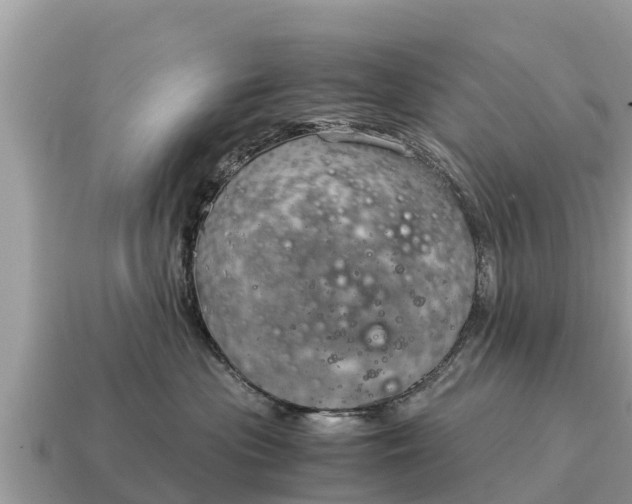 X0000115140477200911101711