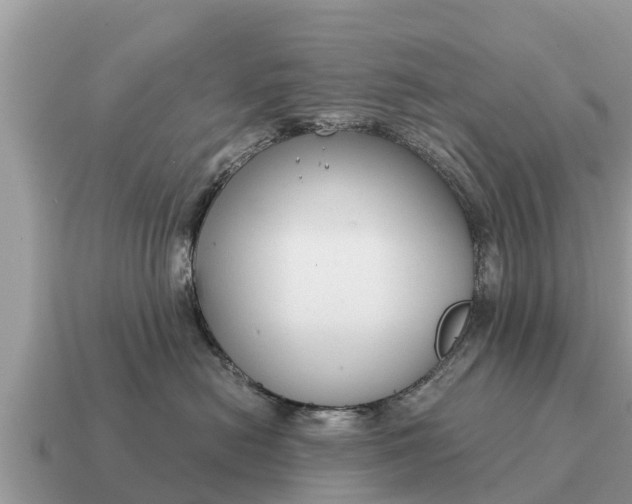 X0000115140478200911101711