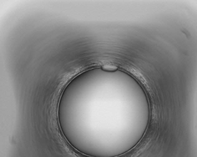 X0000115140481200911101711