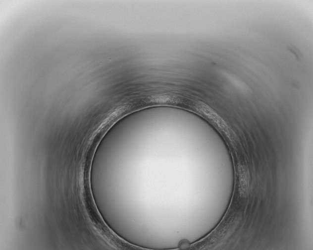 X0000115140482200911101711