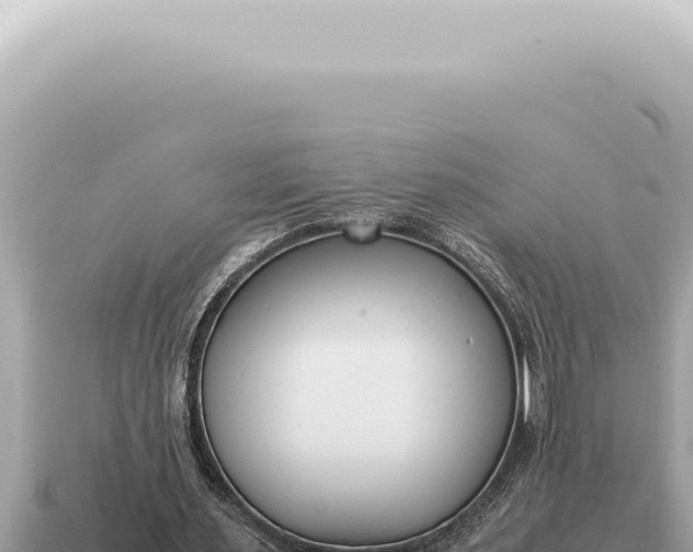 X0000115140483200911101711