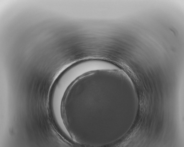 X0000115140484200911101711