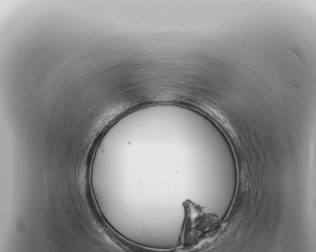 X0000115140485200911101711
