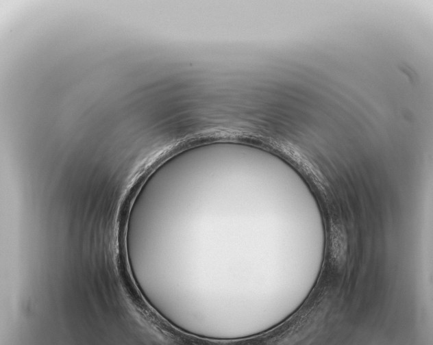 X0000115140486200911101710