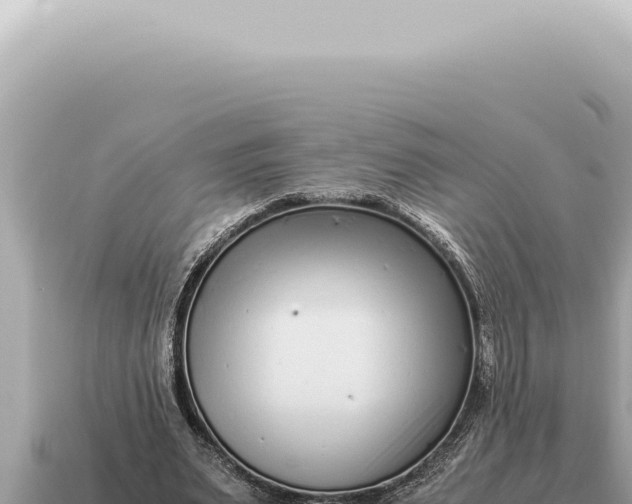 X0000115140487200911101710