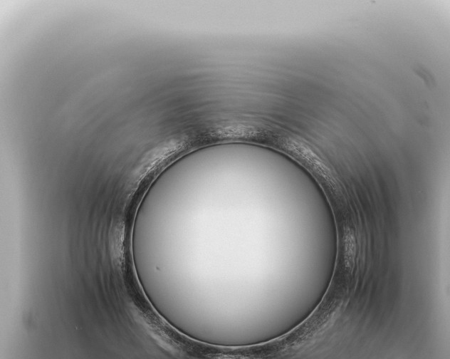X0000115140490200911101710