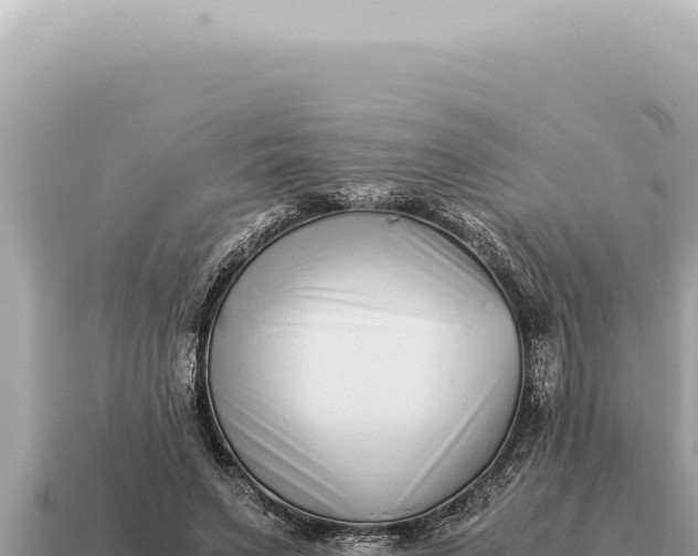 X0000115140495200911101710
