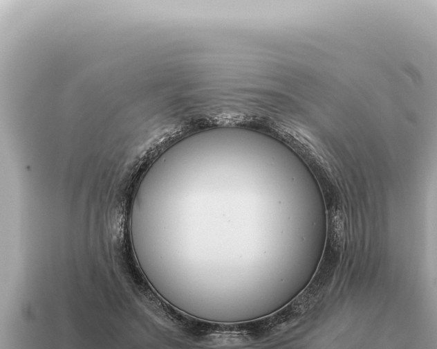 X0000115140499200911101710