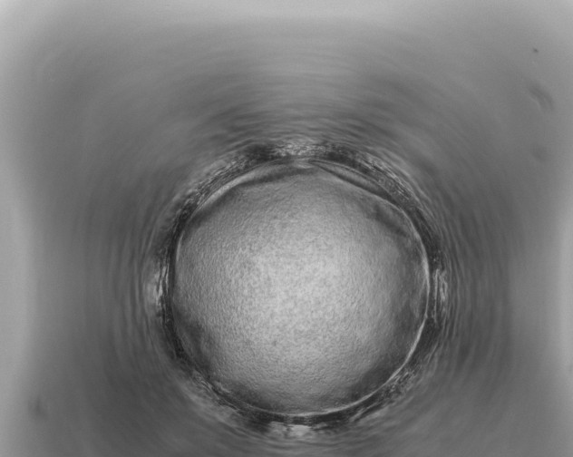 X0000115140503200911101710