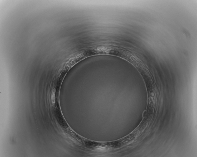 X0000115140504200911101710
