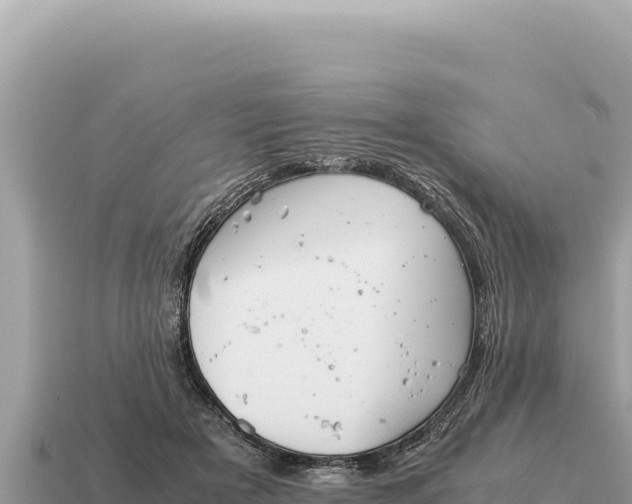 X0000115140505200911101710