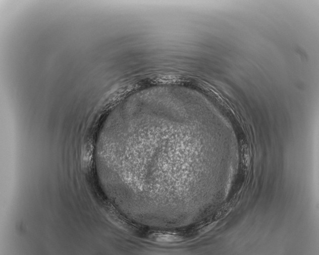 X0000115140507200911101710