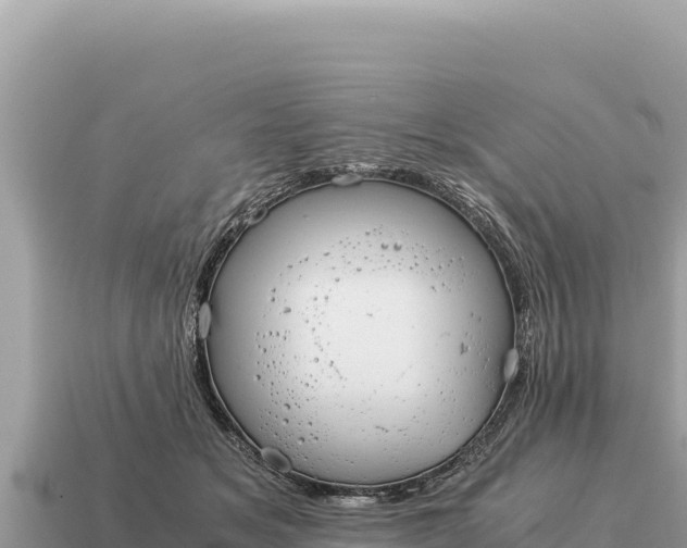 X0000115140509200911101710