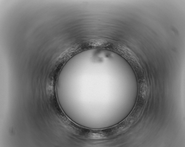 X0000115140510200911101710