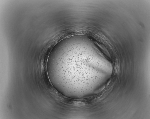 X0000115140520200911101710