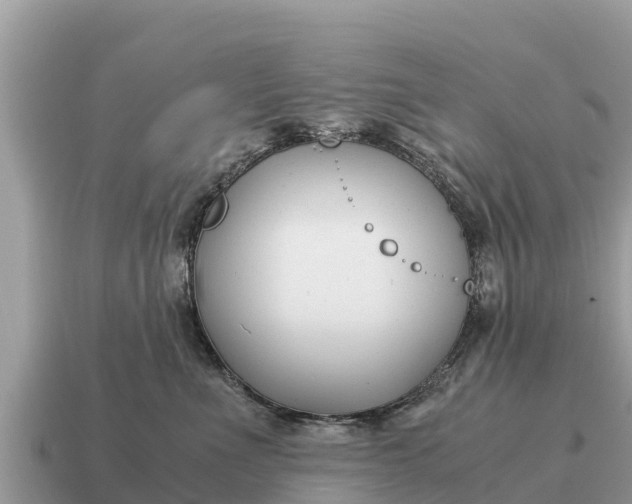 X0000115140523200911101710