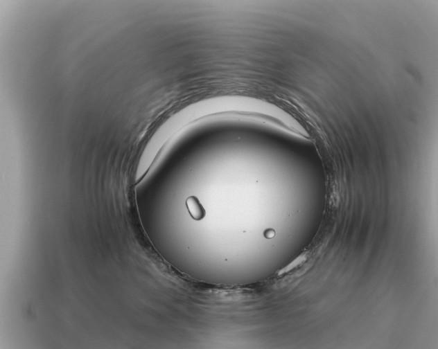 X0000115140524200911101710