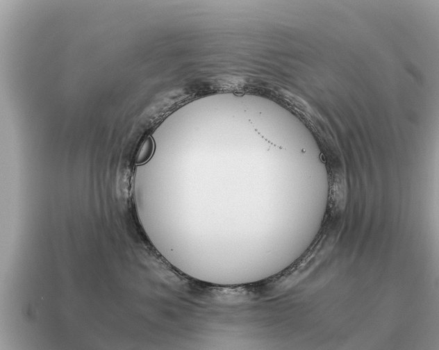 X0000115140525200911101710