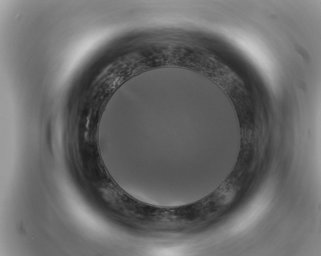 X0000115140526200911101710