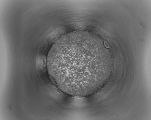 X0000115140528200911101710