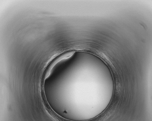 X0000115140530200911101709
