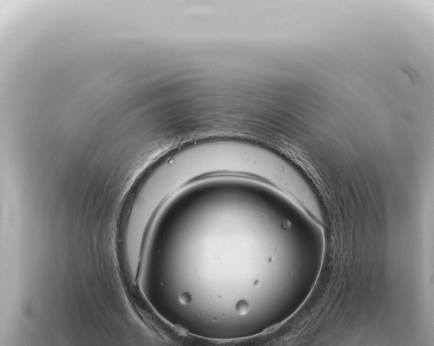X0000115140534200911101709