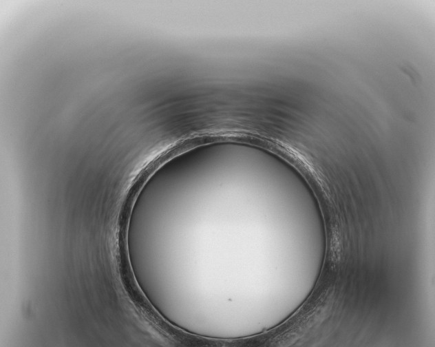 X0000115140535200911101709
