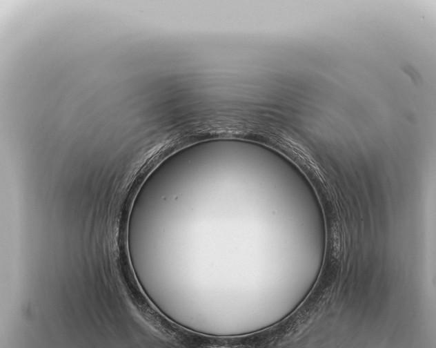 X0000115140538200911101709