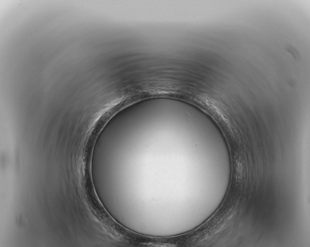X0000115140539200911101709